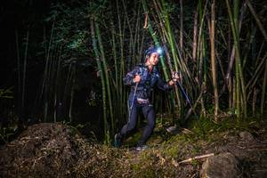 BIB: 
                            <button type="button" onclick="openModal(6949162)" class="btn btn-primary btn-sm float-right btn-popup" data-toggle="modal" data-target=".modal-high-quality">
                        <i class="fas fa-shopping-cart"></i> Add to Cart
                    </button>
                                            <button type="button" onclick="isThisMe(6949162, true)" class="btn btn-success btn-sm float-right btn-popup btn-isme hidden" data-toggle="tooltip" data-placement="bottom" title="นี่คือรูปของคุณใช่ไหม คลิกที่นี่เพื่อเอาเข้าอัลบั้ม">
                        <i class="fas fa-plus"></i> Add to album
                    </button>
                    <button type="button" onclick="isThisMe(6949162, false)" class="btn btn-warning btn-sm float-right btn-popup btn-isnotme hidden">
                        <i class="fas fa-ban"></i> Remove from album
                    </button>